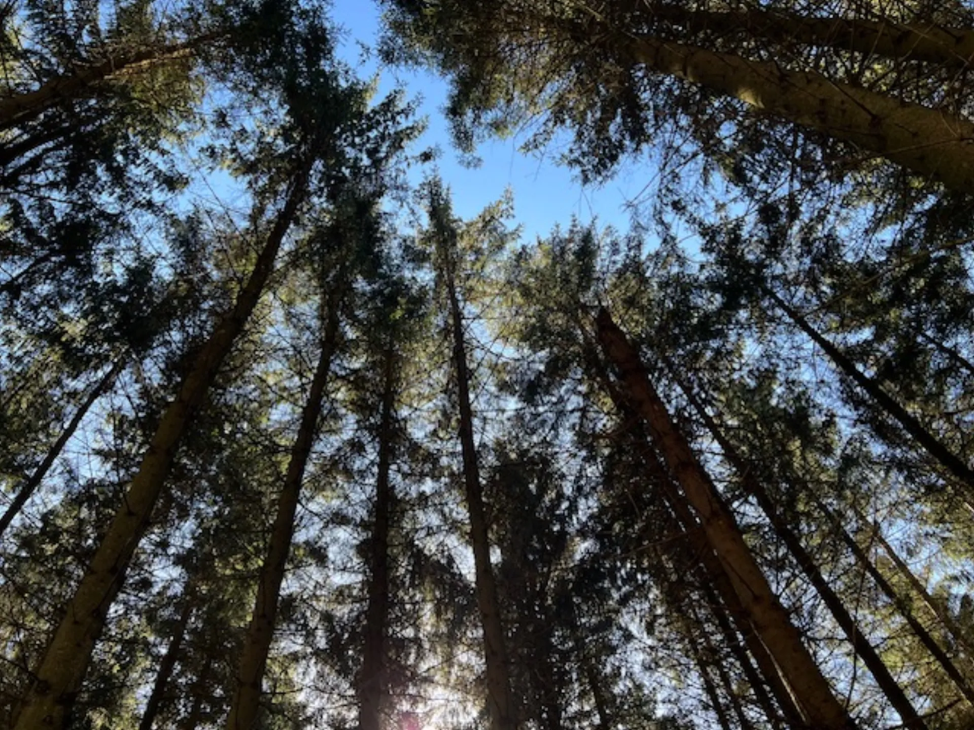 Fra inspiration til handling