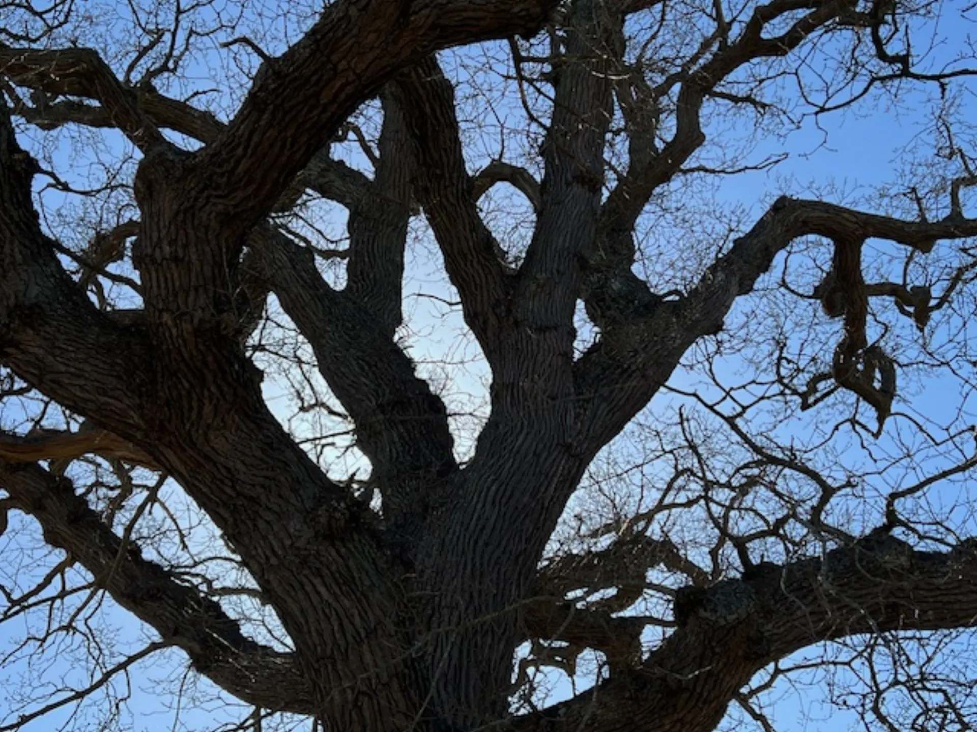 Tre bæredygtighedstrends der former dansk turisme lige nu