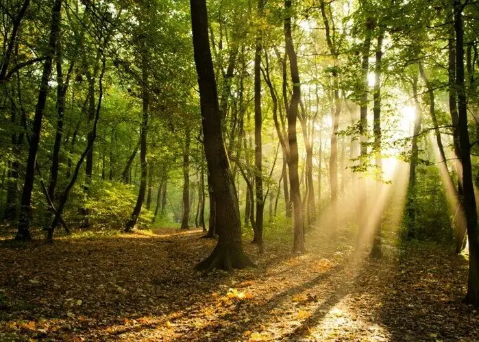 Nye krav til energiforbrug