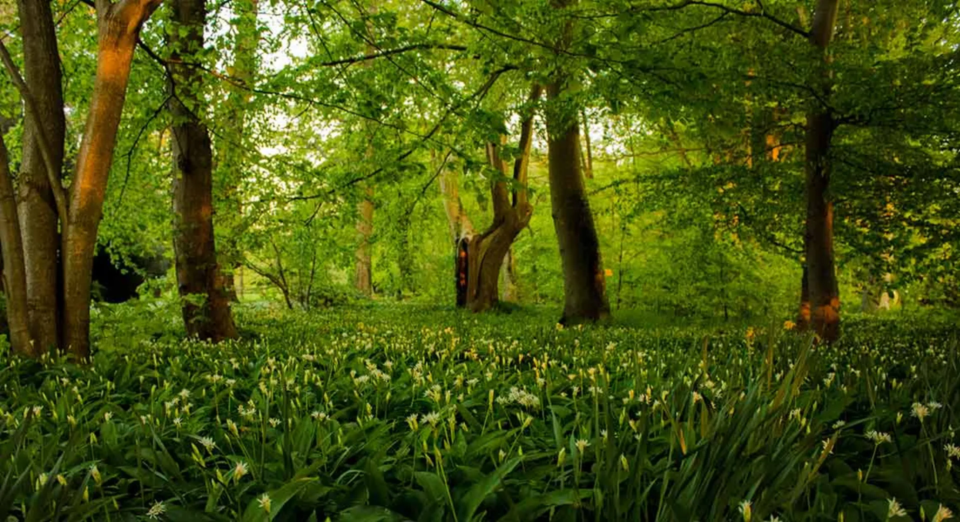 Kom med på rejsen mod en grønnere fremtid