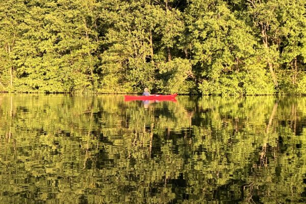 Naturturisme skal skabe respekt og ikke slid på naturen